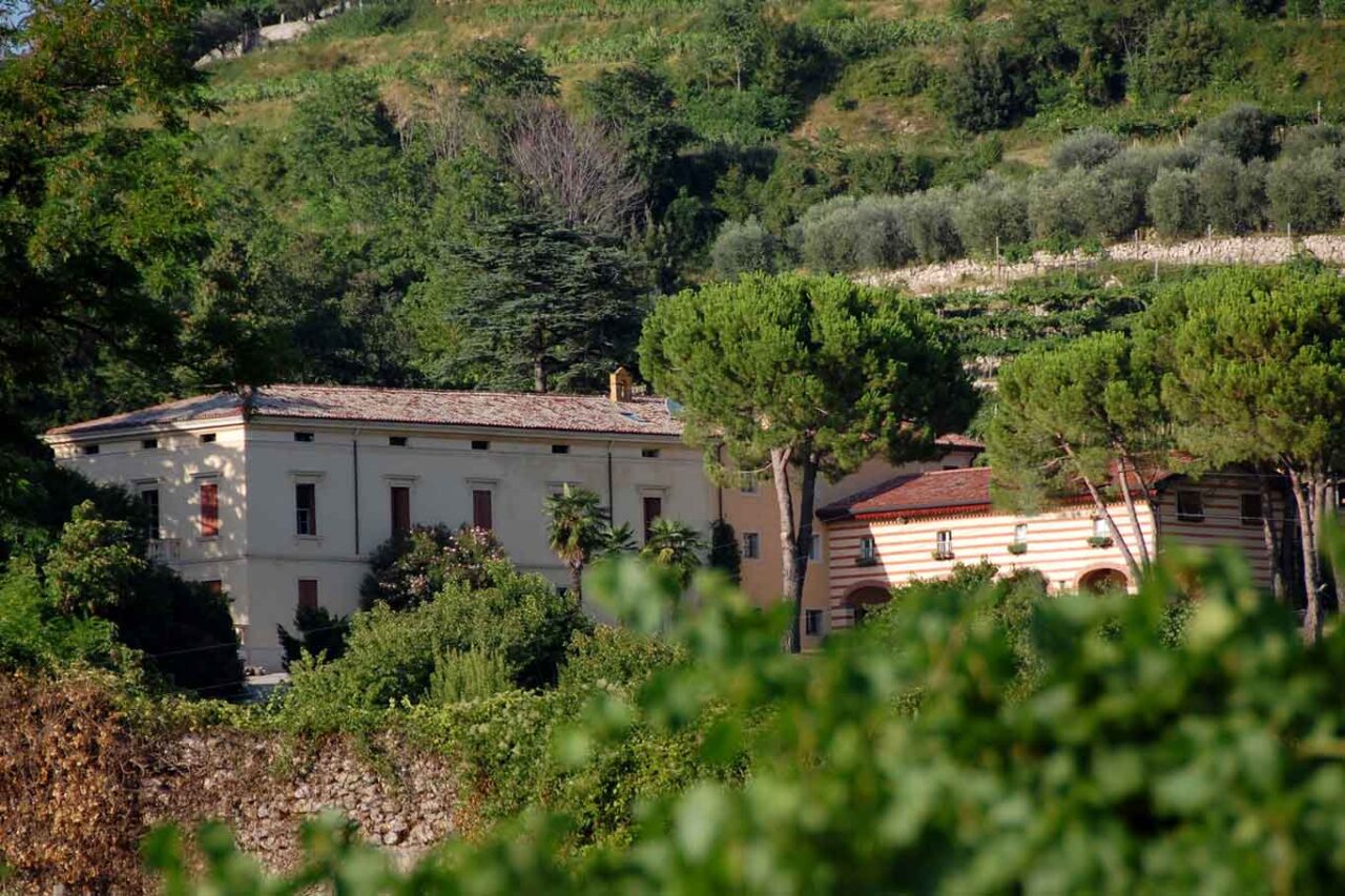 Azienda Brigaldara