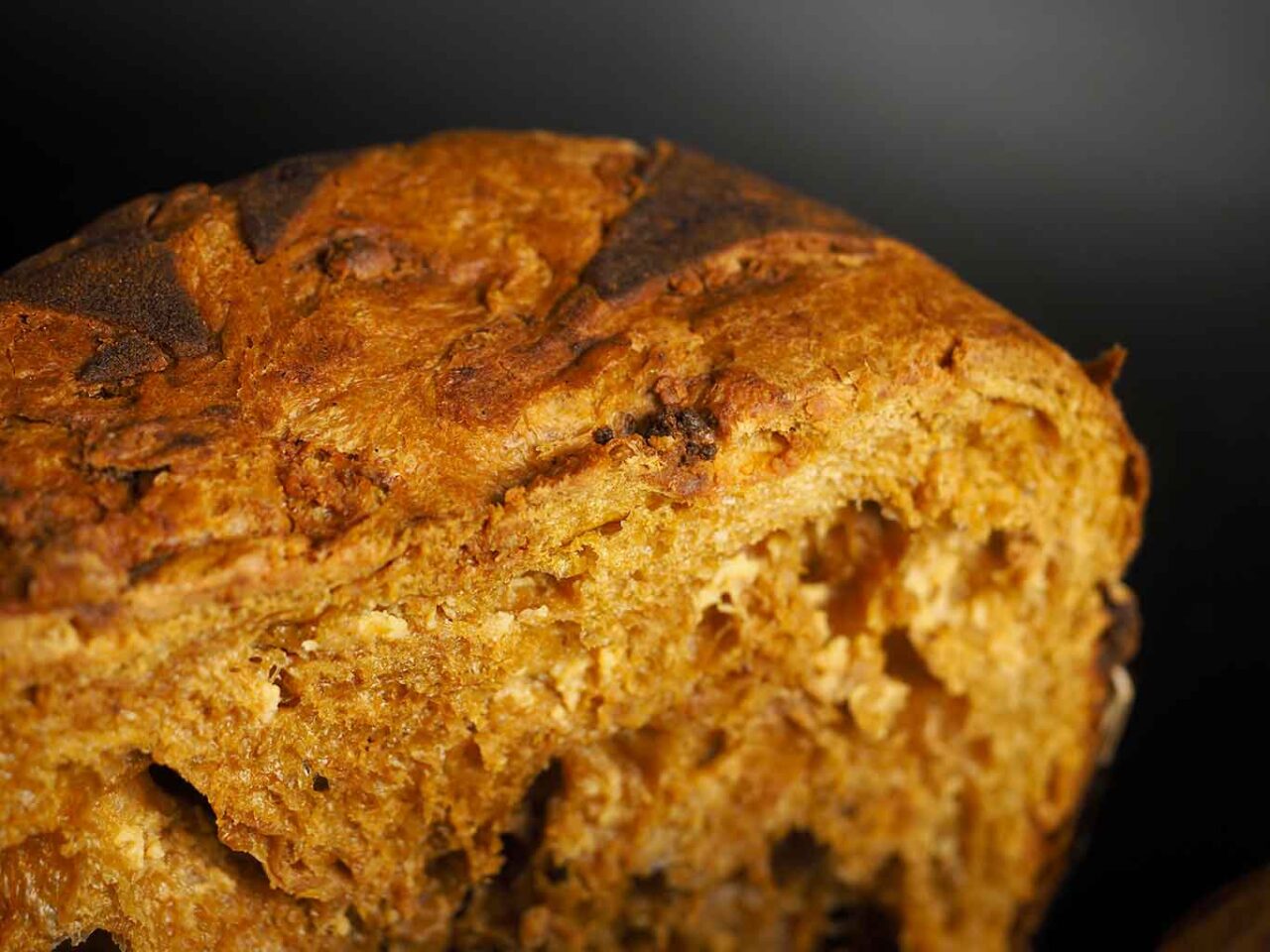 classifica miglior panettone creativo 2021: Gatti