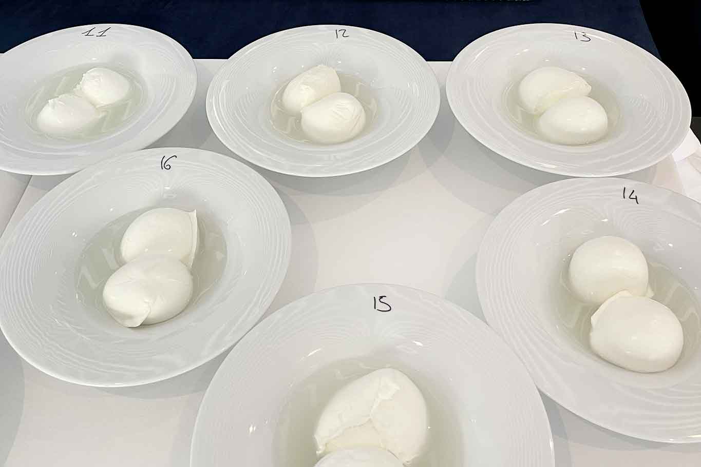 Mozzarella Championship: Caserta batte Salerno 6 a 2 e vola ai quarti Dop