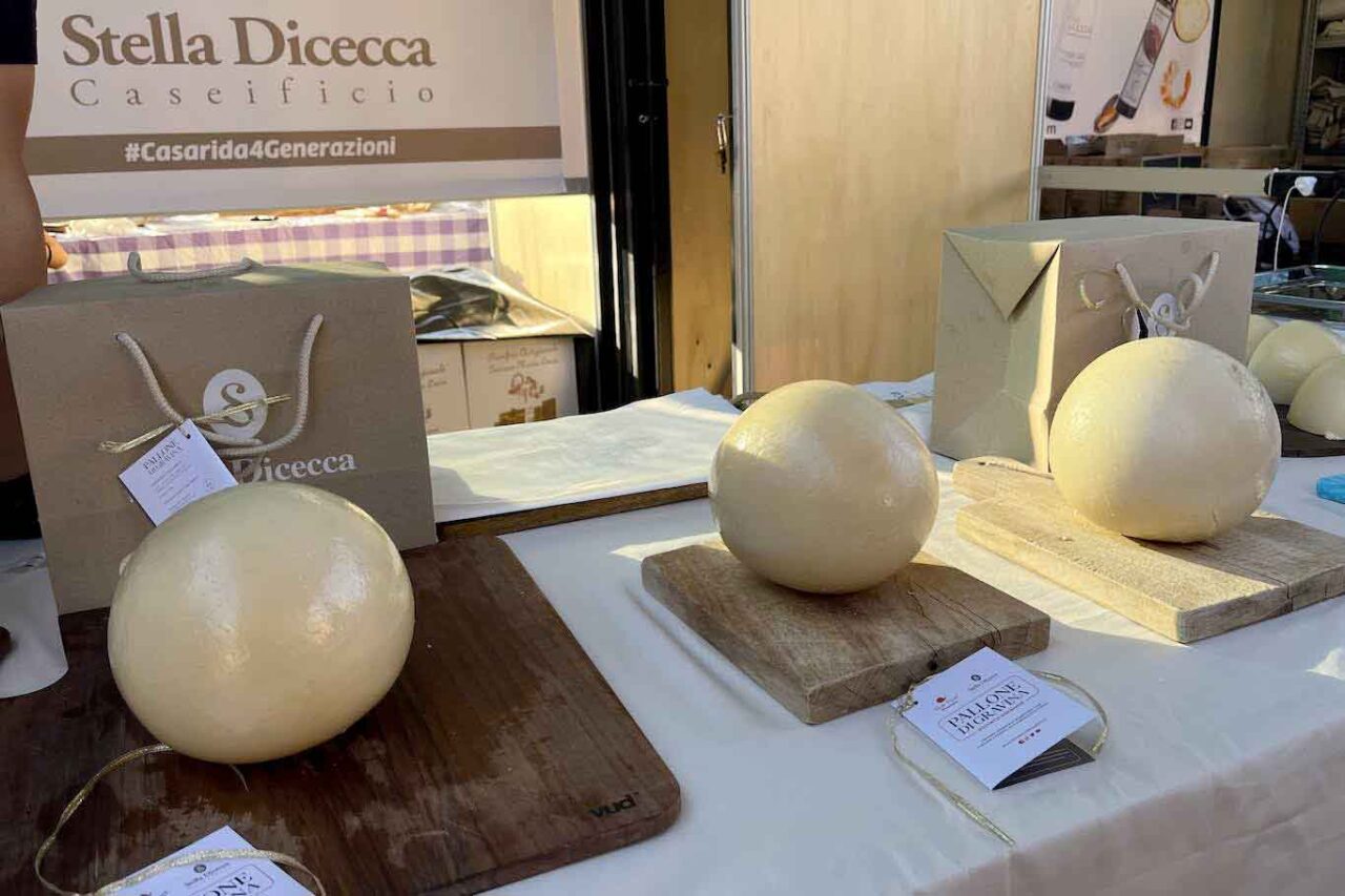 Assaggi al Salone del Gusto di Torino: formaggio Pallone di Gravina