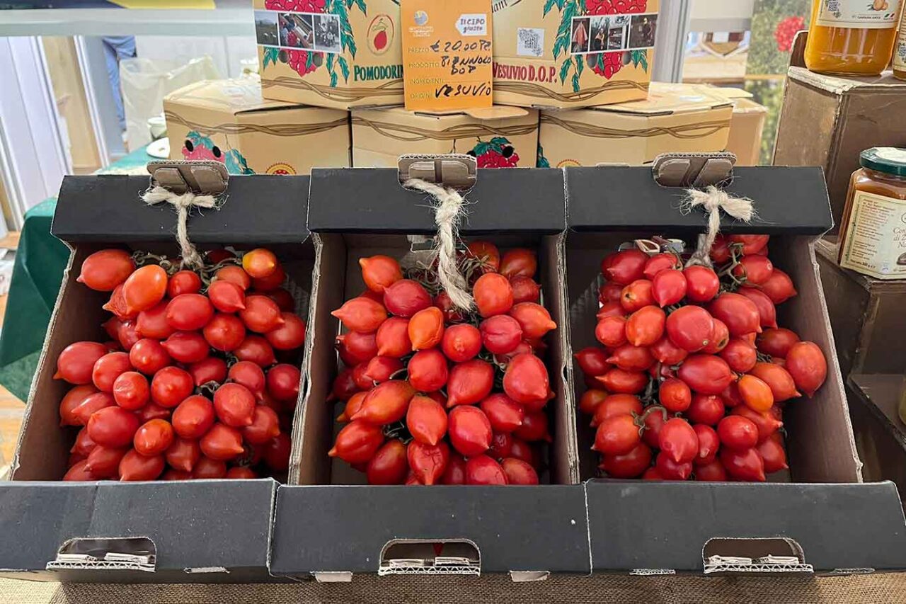 i pomodori del piennolo tra gli assaggi al Salone del Gusto 2024