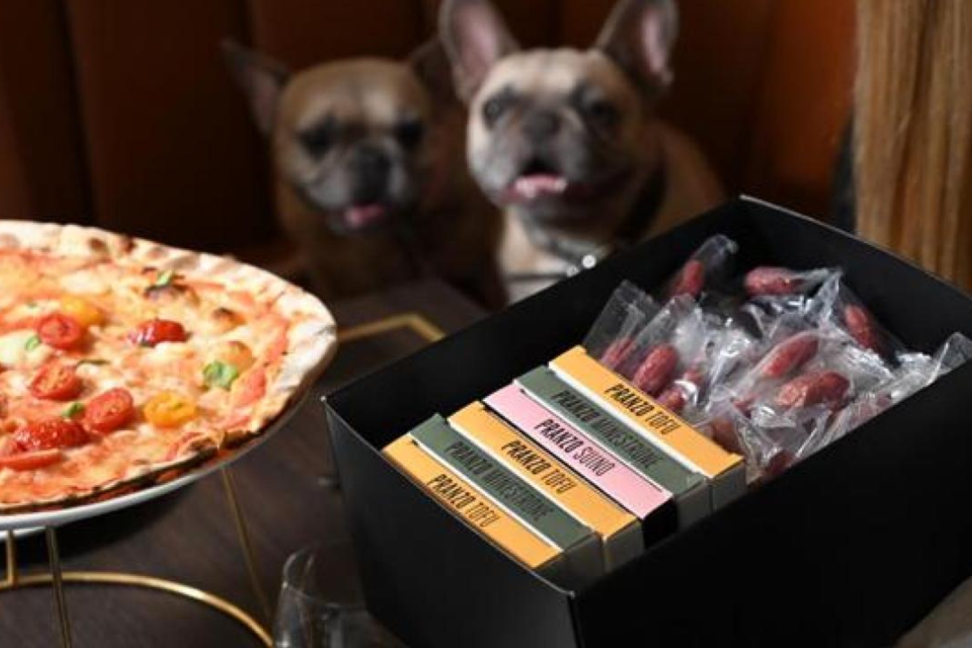 Crazy Pizza: menu per cani gratis? No, incluso nei prezzi lievitati