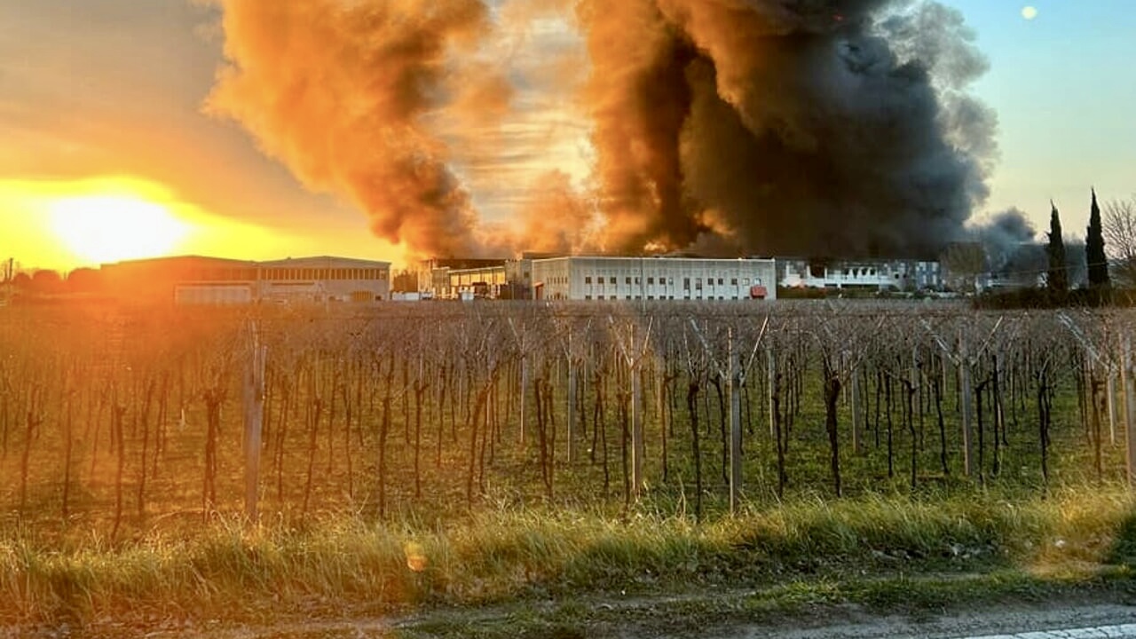 Salumificio Coati incendio zona