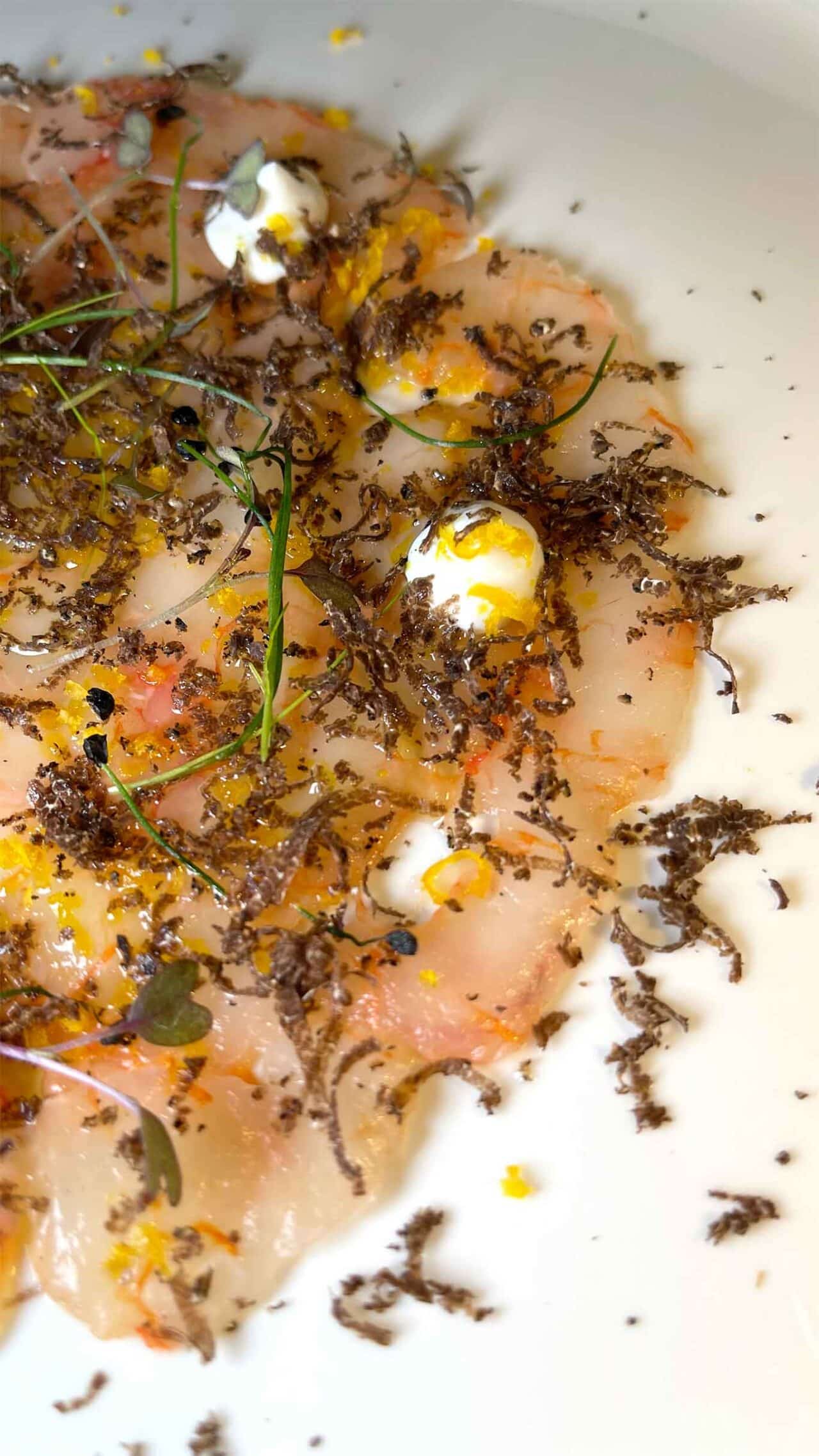 il battuto di gamberi del San Pietro bistrot del mare a Torre del Greco 