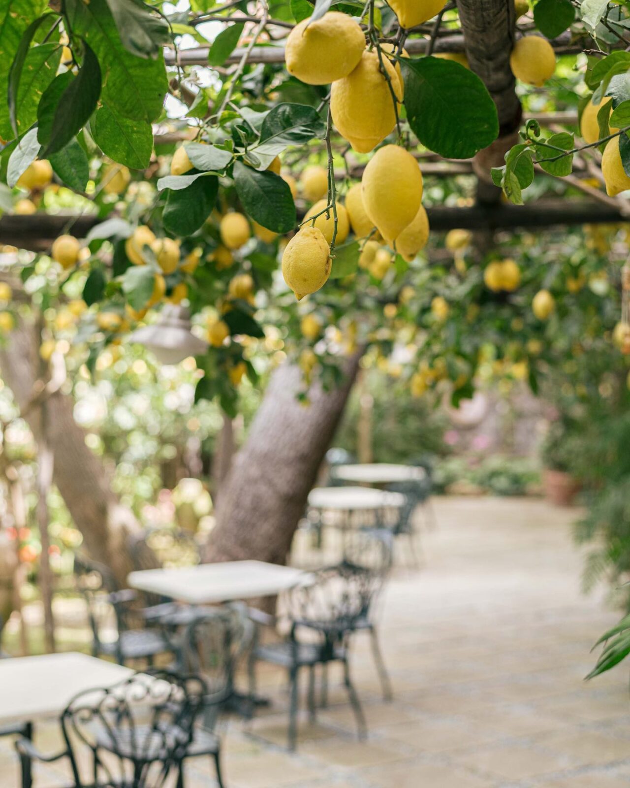 Domenico Iavarone al ristorante Zest a Sorrento