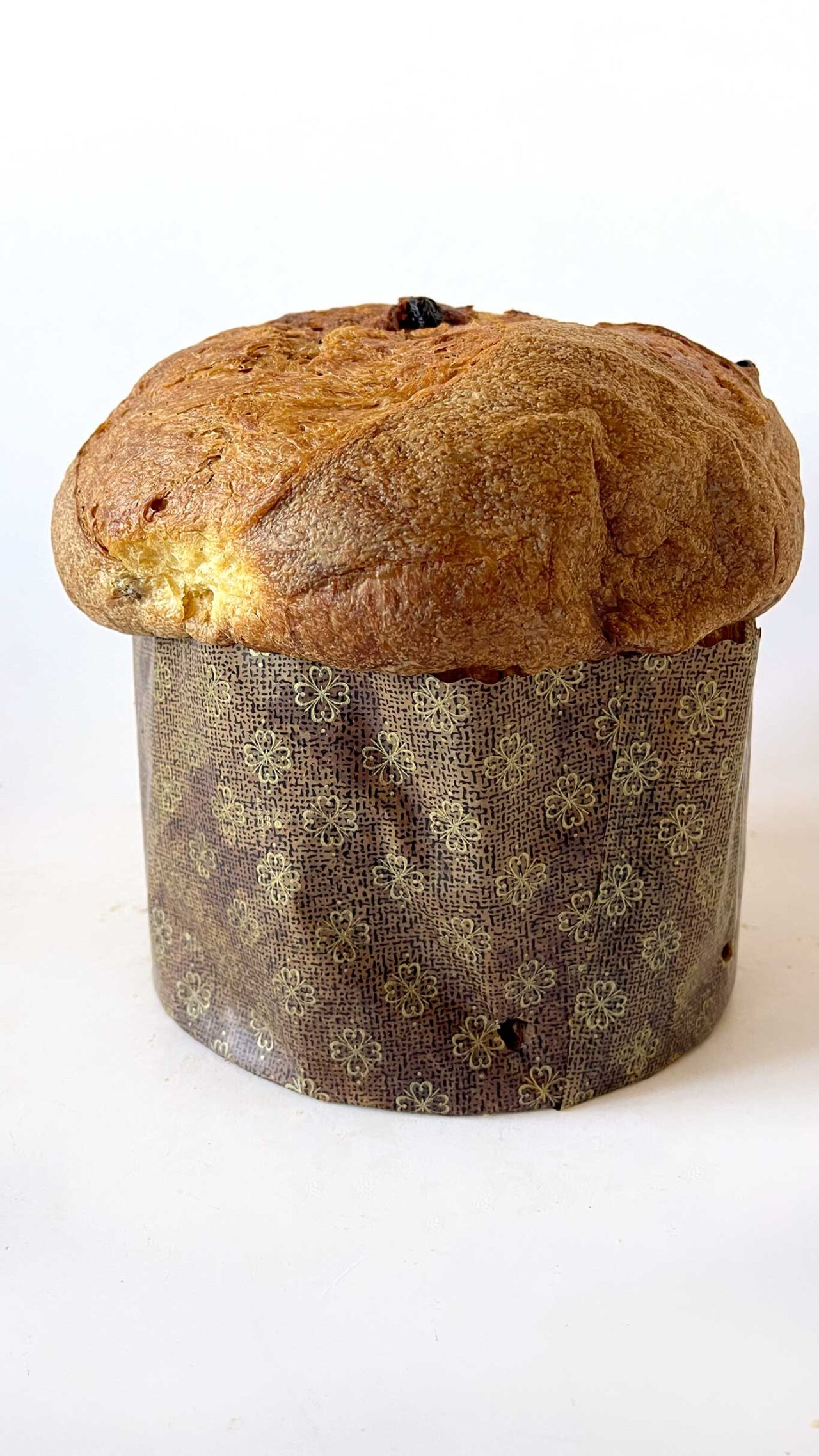 panettone artigianale 2023 dello chef Ilario Vinciguerra