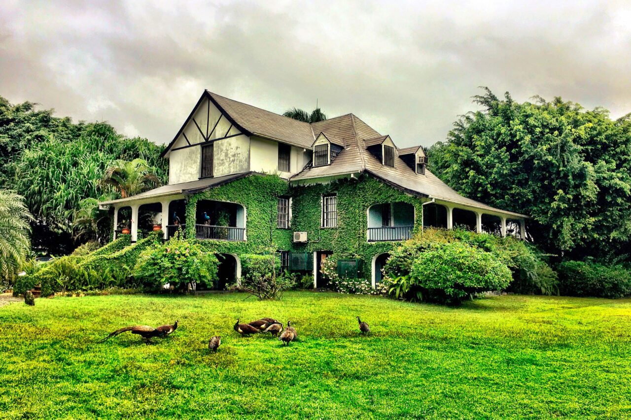 Hampden Rum Distilleria 