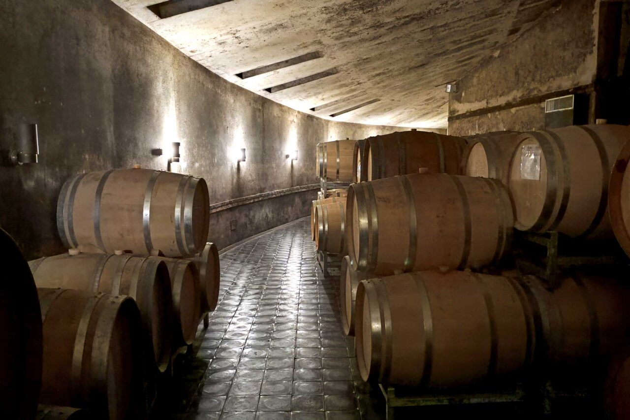 La barricaia sotterranea di cantina Vietti