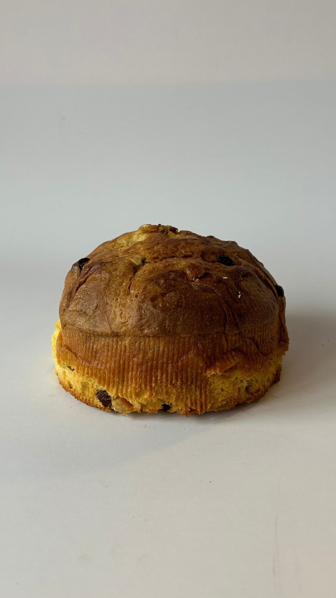 panettone milano 2023 ciopa