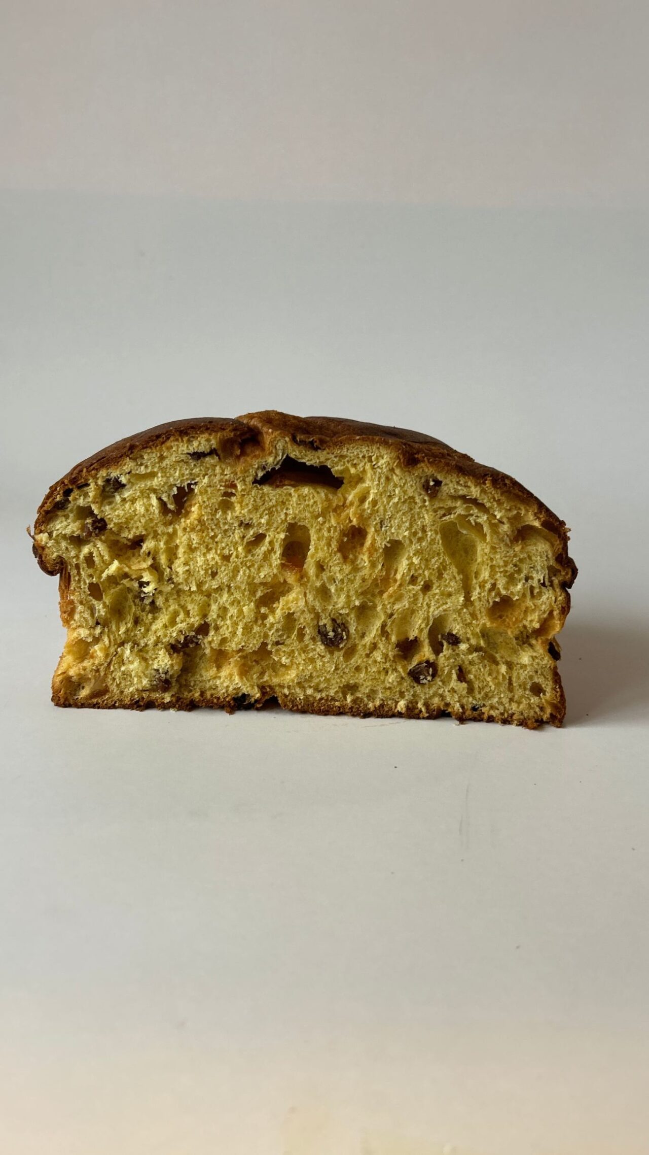 cucchi panettone a milano