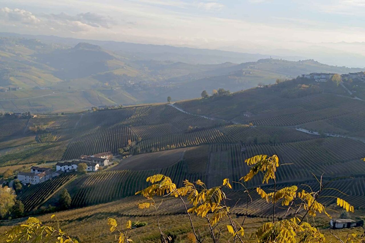 Le langhe da Castiglione Falletto