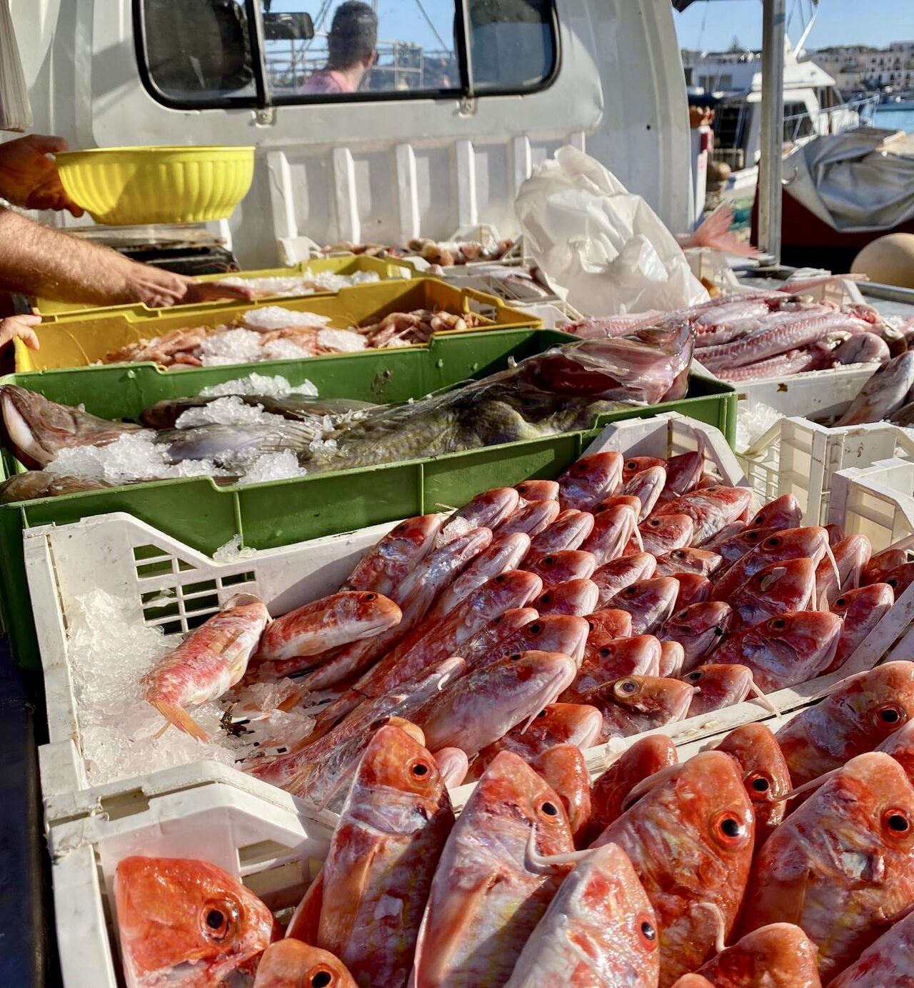 Dove mangiare a Favignana Pesce