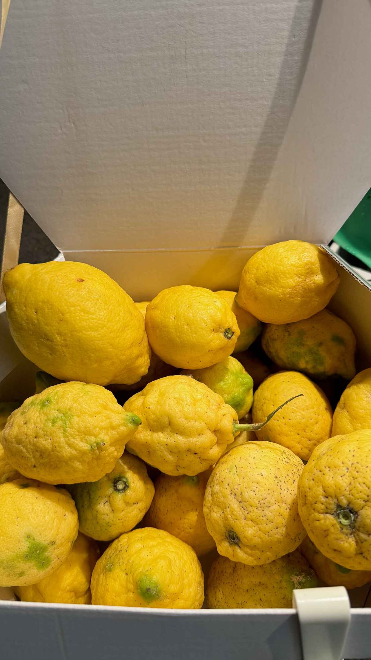 limoni per la marmellata