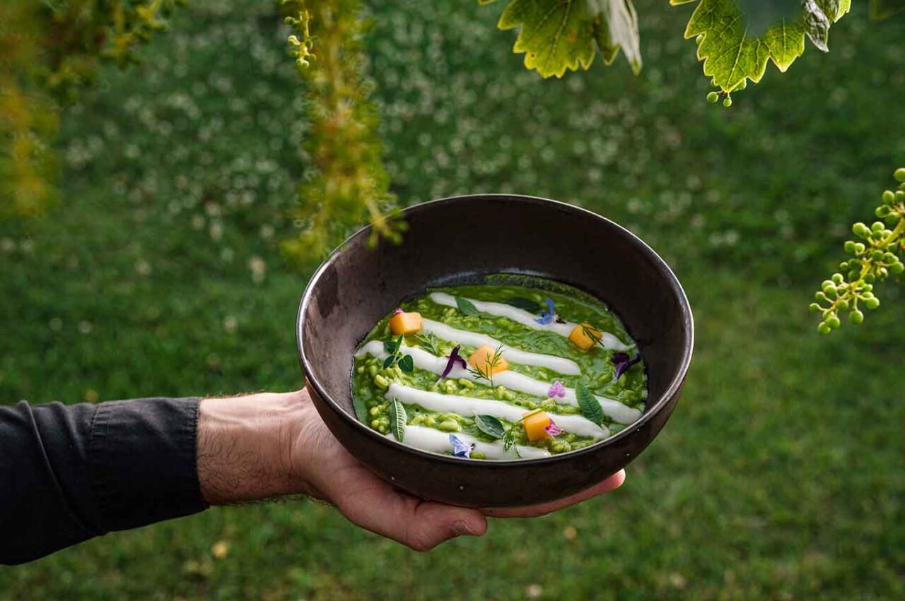 il risotto del ristorante agriturismo Seguire le Botti a Borgo Vodice 