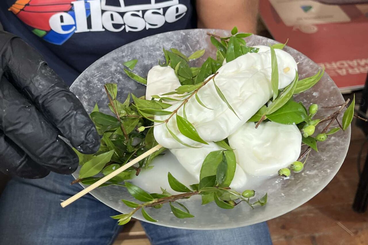 La mozzarella nella mortella al Salone del Gusto 2024