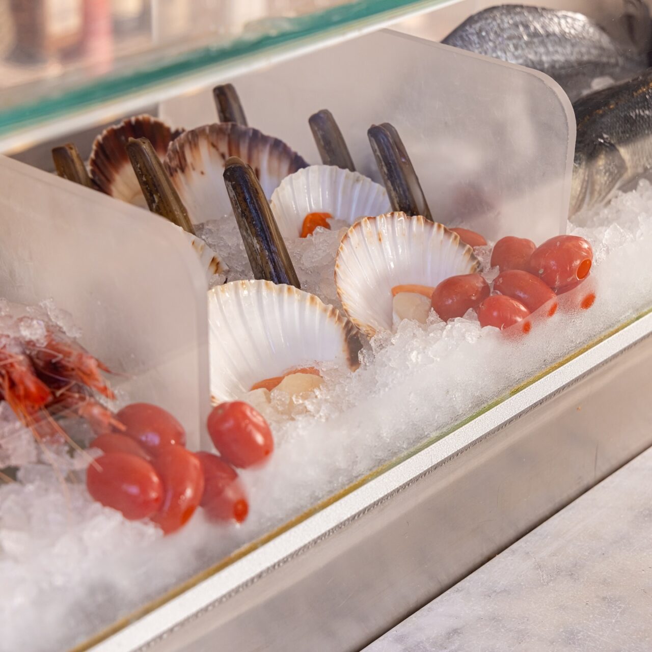 il banco crudi del ristorante di pesce Pisco all'Arco della Pace a Milano 