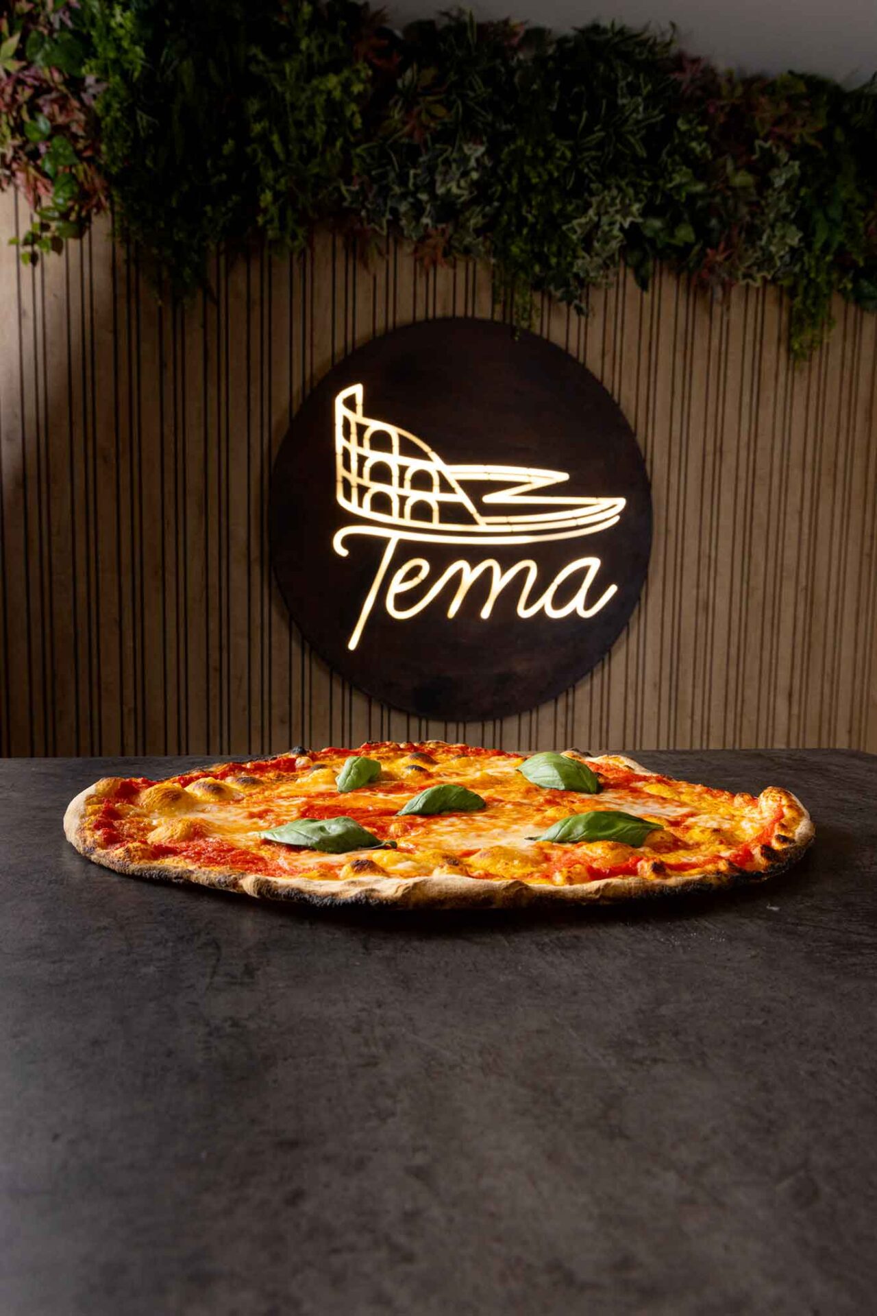 tema pizzeria aprilia pizza margherita