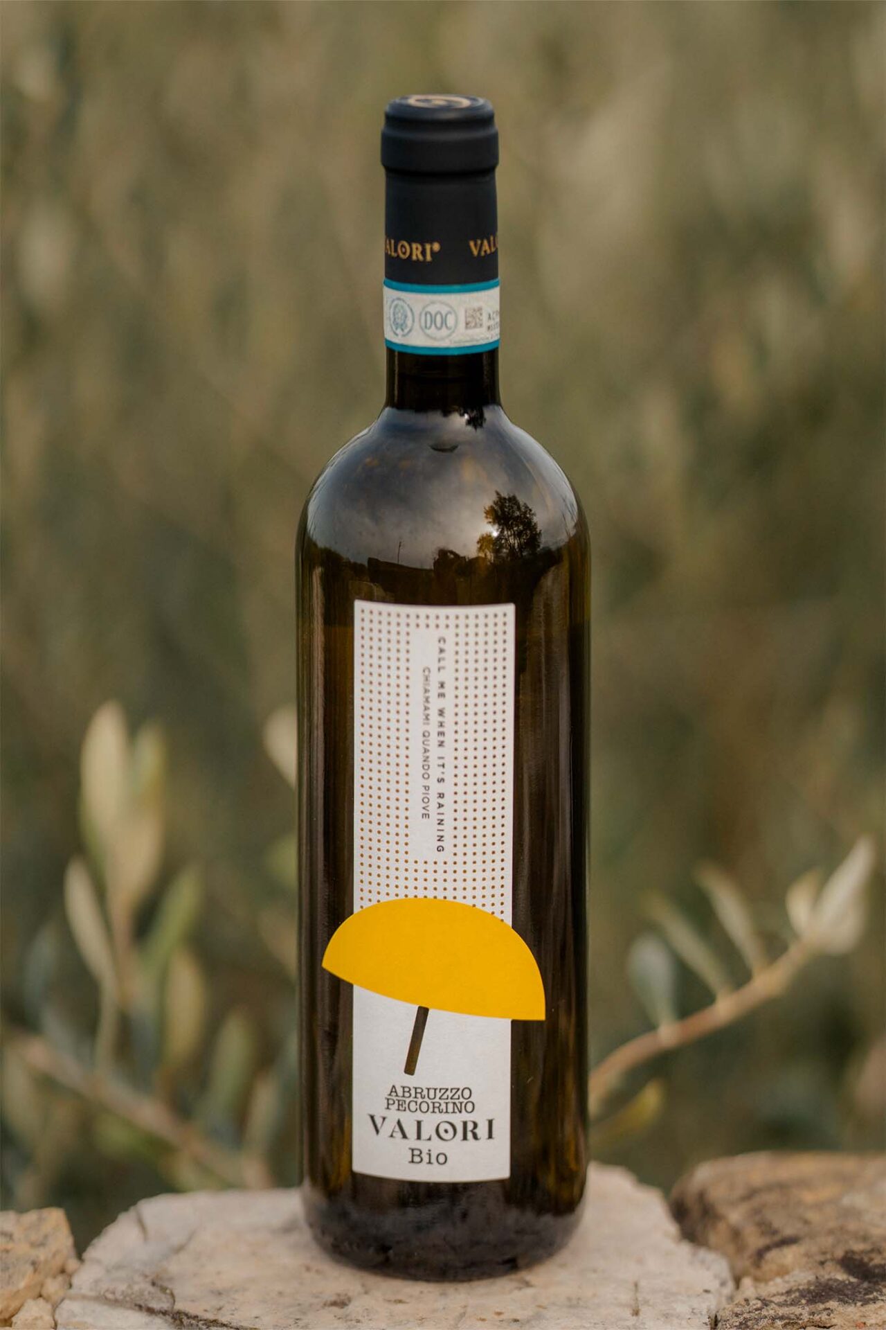 Pecorino Masciarelli