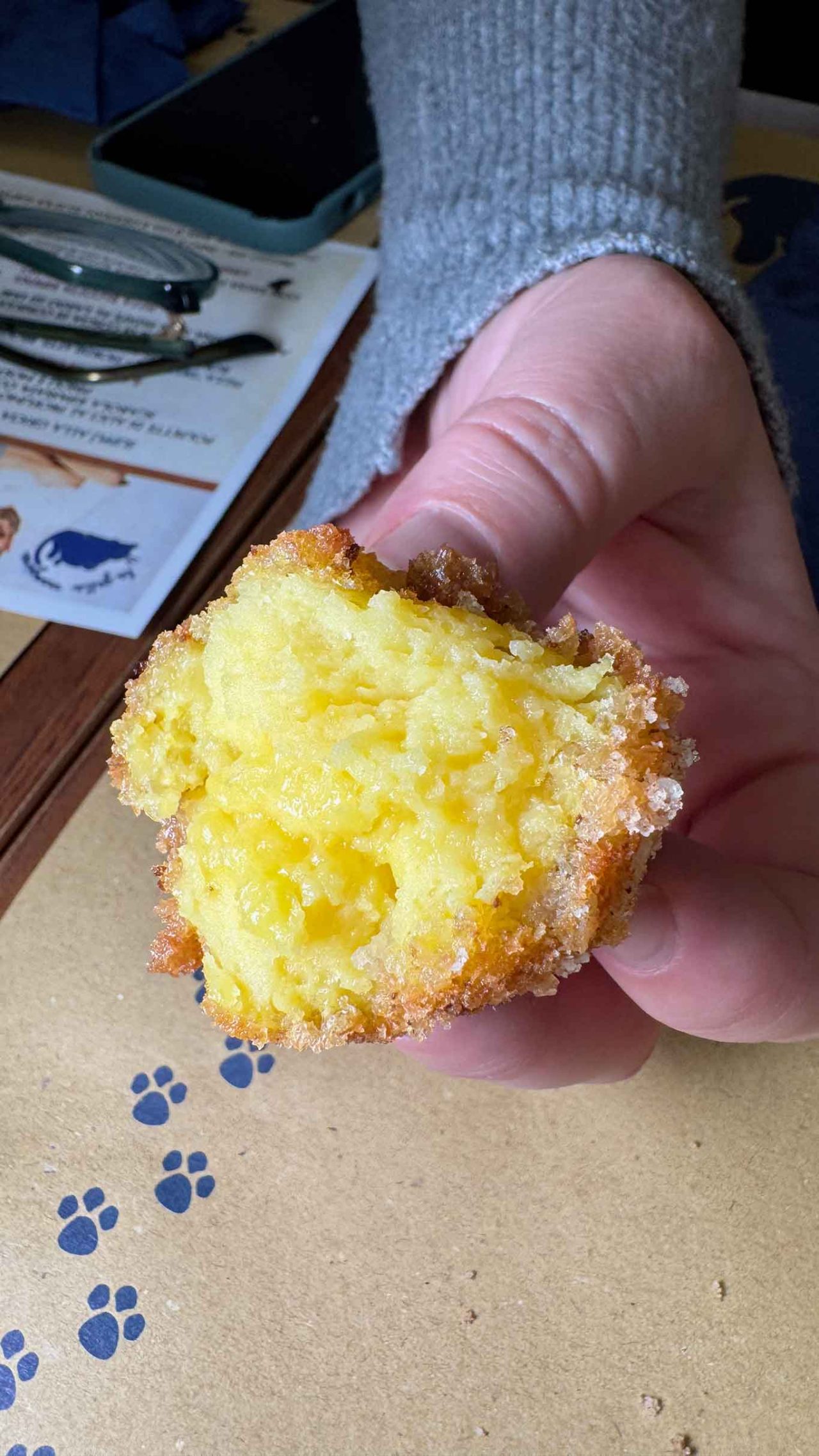 la crema fritta alla pizzeria Gatta Mangiona a Roma