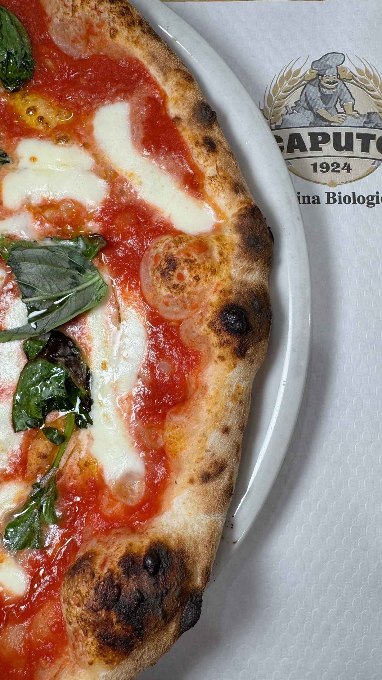 la pizza margherita della pizzeria trattoria Vigliena a Napoli